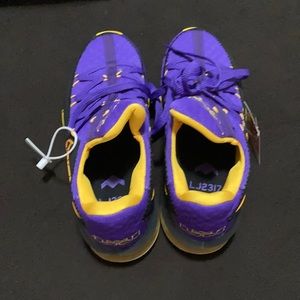 Brand new never worn lebron XVII sneakers.
